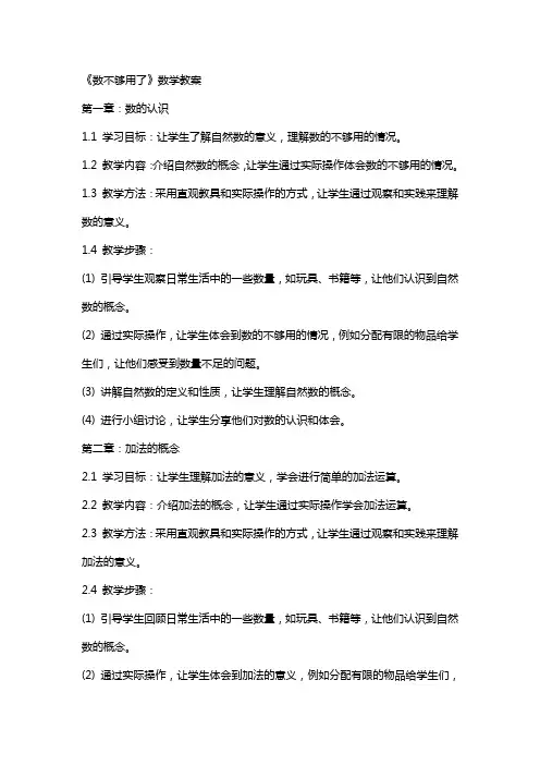 《数不够用了》数学教案