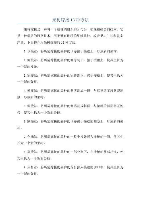 果树嫁接16种方法