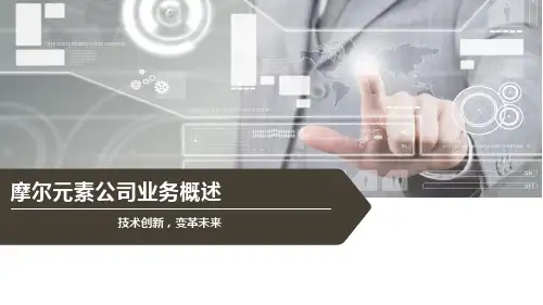 摩尔元素公司业务概述