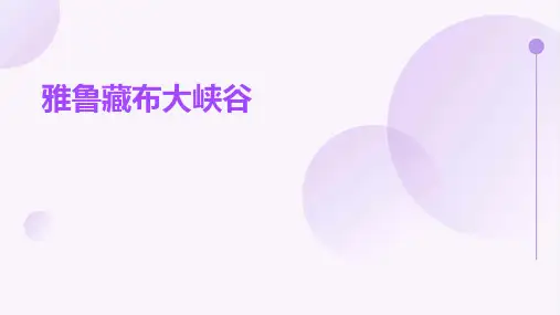 雅鲁藏布大峡谷(可用)