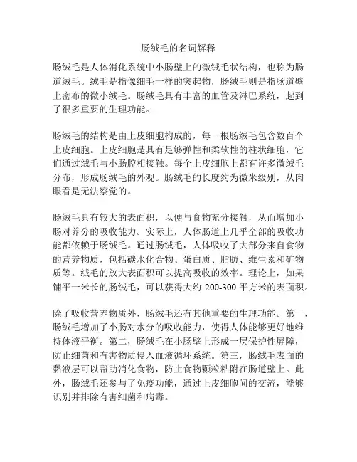 肠绒毛的名词解释