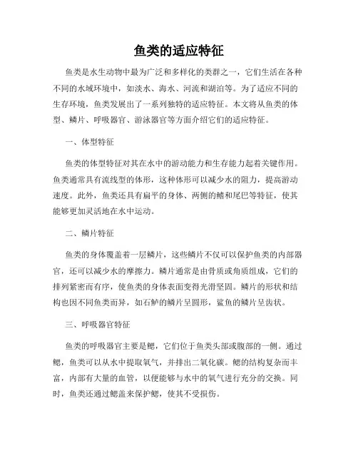 鱼类的适应特征