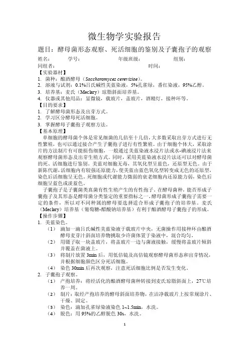 酵母菌——精选推荐