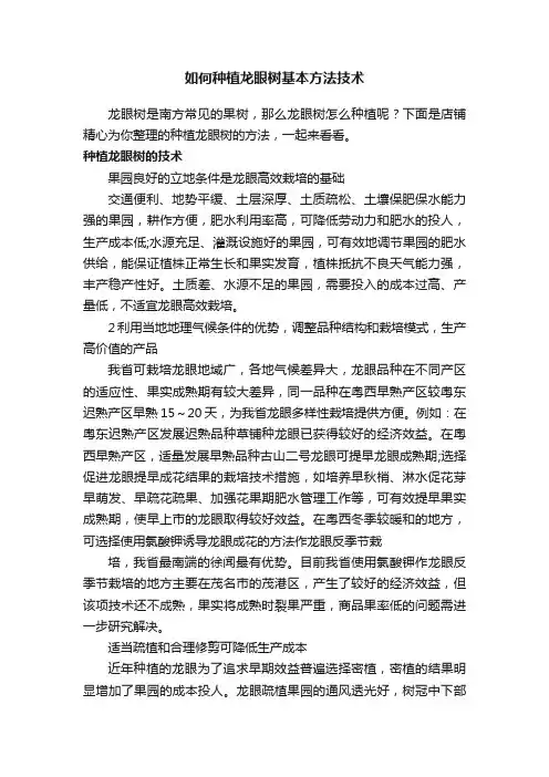 如何种植龙眼树基本方法技术