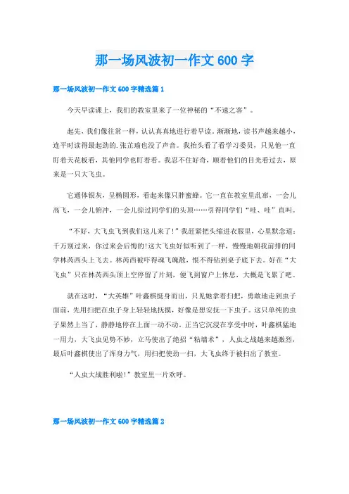那一场风波初一作文600字