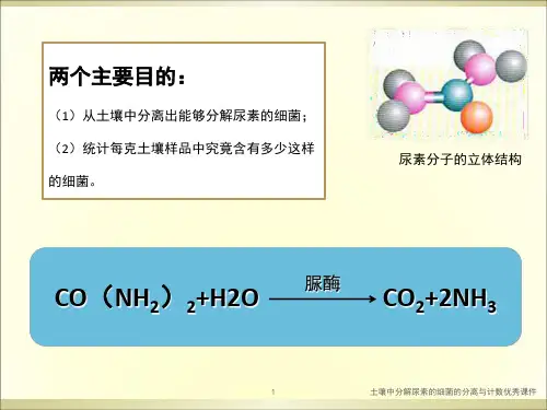 土壤中分解尿素的细菌的分离与计数优秀课件