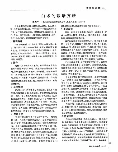 白术的栽培方法