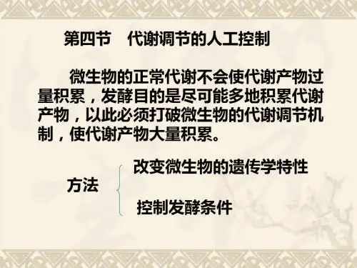 第六章微生物发酵机理2-PPT精选文档