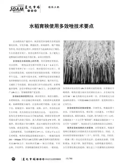 水稻育秧使用多效唑技术要点