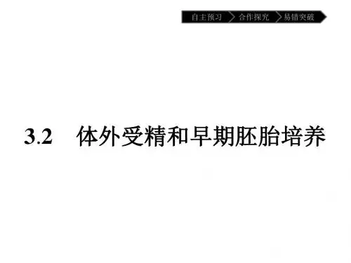 生物人教版选修3课件：3.2 体外受精和早期胚胎培养