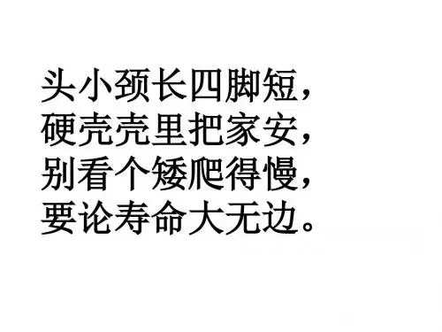 (教科版)二年级语文上册课件 小乌龟找工作 1