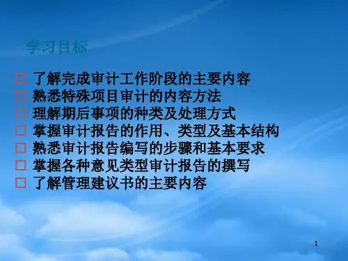 审计报告PPT60页