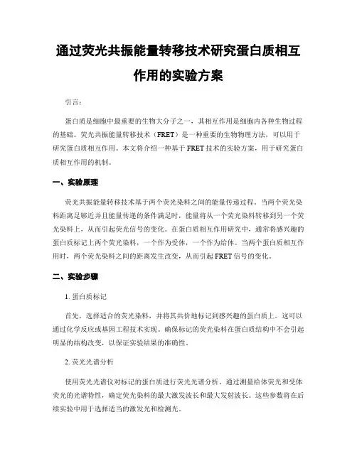 通过荧光共振能量转移技术研究蛋白质相互作用的实验方案