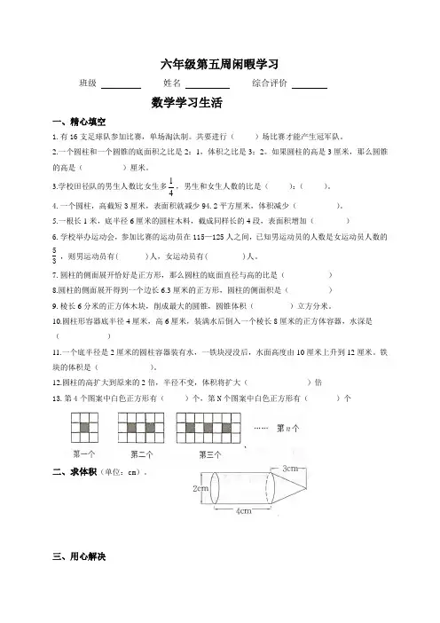 六年级下册数学试题-第五周学习作业-苏教版