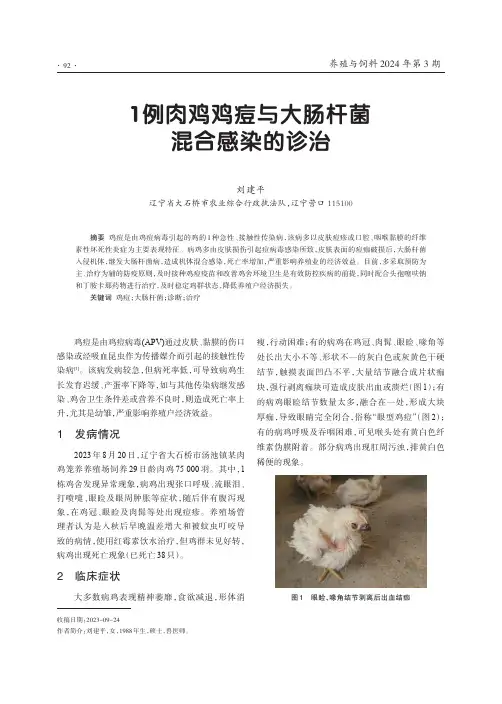 1例肉鸡鸡痘与大肠杆菌混合感染的诊治
