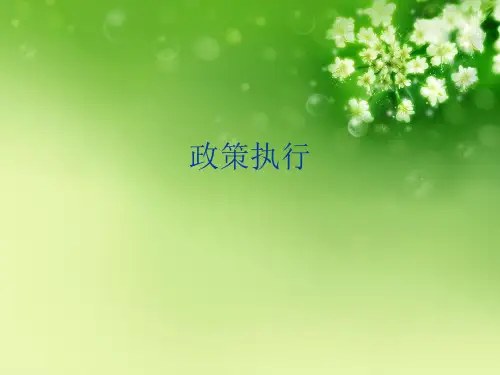政策执行优秀课件
