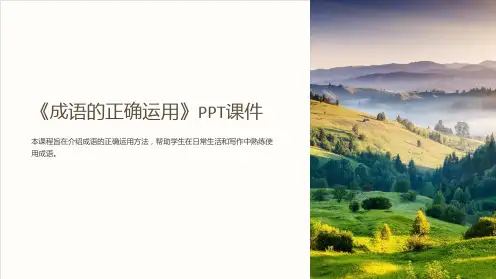 《成语的正确运用》课件