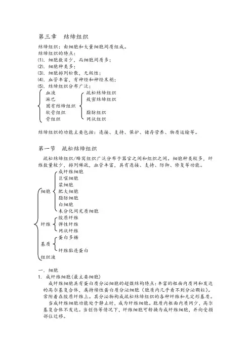 结缔组织