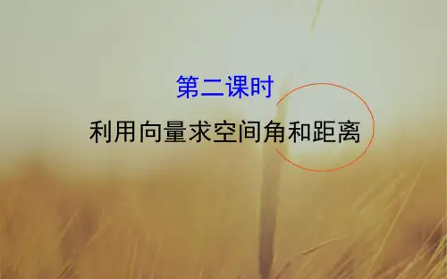 2018届高考数学理科全国通用一轮总复习课件：第七章 立体几何 7.7.2 精品