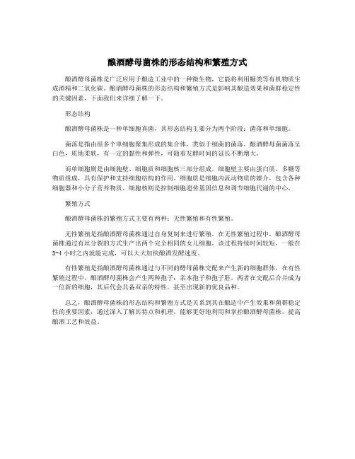 酿酒酵母菌株的形态结构和繁殖方式