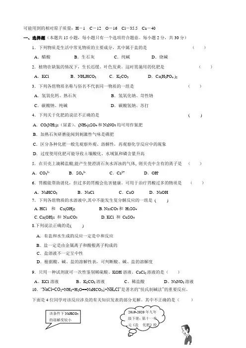 2019-2020年九年级下册：第十一单元《盐  化肥》检测题(化学)
