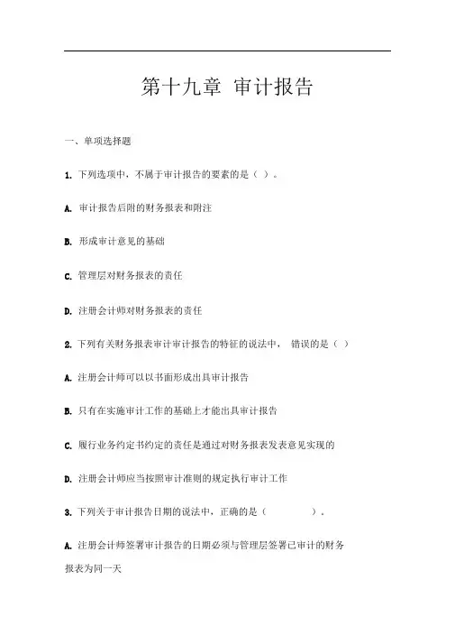 第19章--审计报告