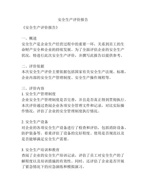安全生产评价报告