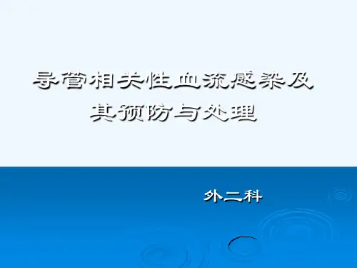 导管相关性血流感染及其预防与处理