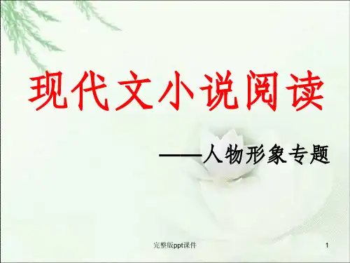 中考小说阅读人物形象分析ppt课件