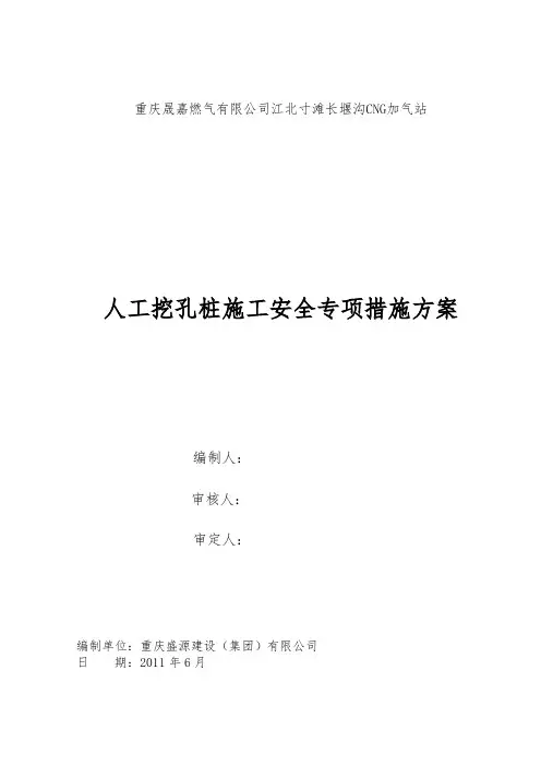 桩基施工安全专项措施方案(专家论证)