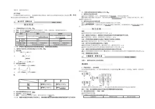 2022版优化方案高中生物人教版必修二学案 第二章 基因和染色体的关系 第2节基因在染色体上