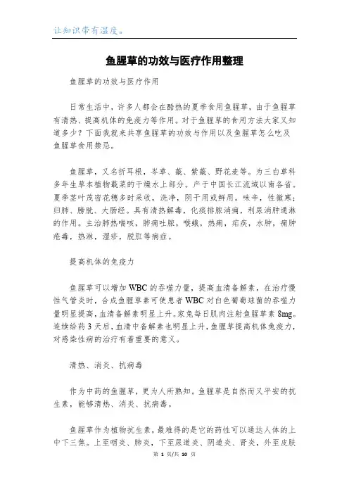 鱼腥草的功效与医疗作用整理