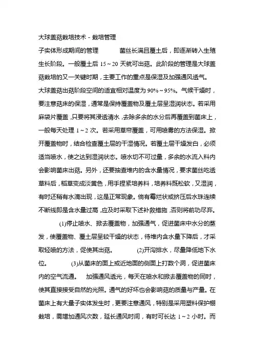 大球盖菇栽培技术-栽培管理