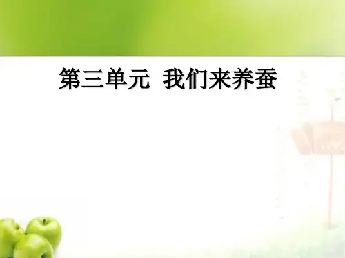 小学科学四年级下册《我们来养蚕》PPT课件