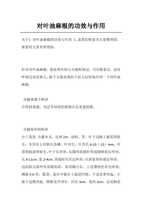 对叶油麻根的功效与作用
