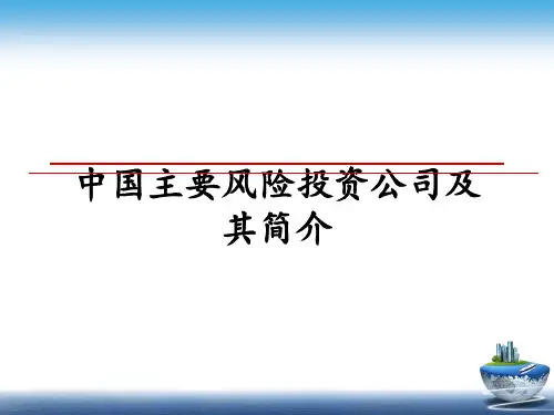 最新中国主要风险投资公司及其简介教学讲义ppt