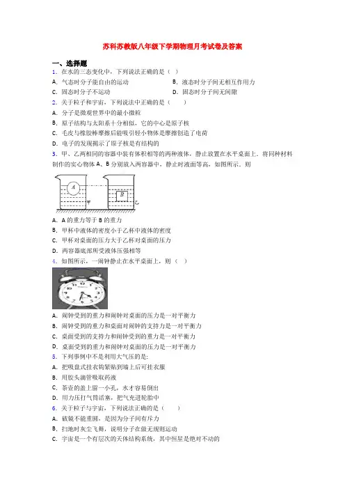 苏科苏教版八年级下学期物理月考试卷及答案 (2)