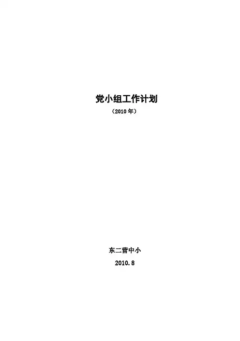 2020年(工作计划)党小组工作计划
