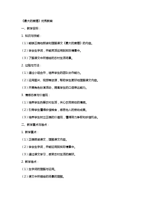 《最大的麦穗》教案2