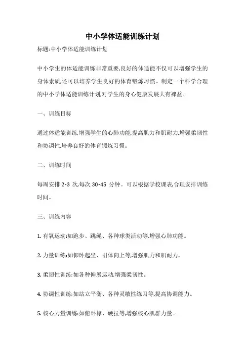 中小学体适能训练计划