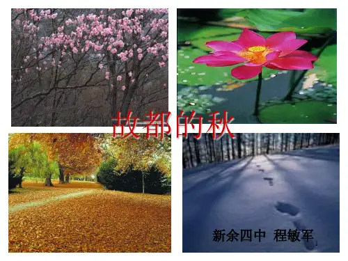 人教版必修2第一单元第2课散文《故都的秋》郁达夫ppt课件