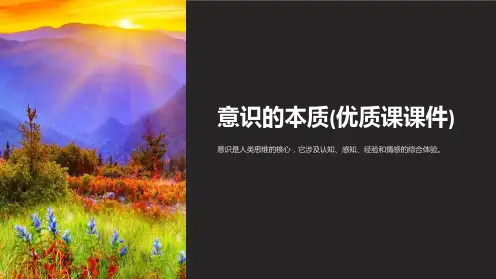 意识的本质(课课件)
