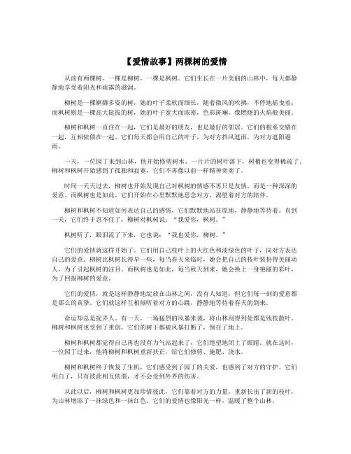 【爱情故事】两棵树的爱情