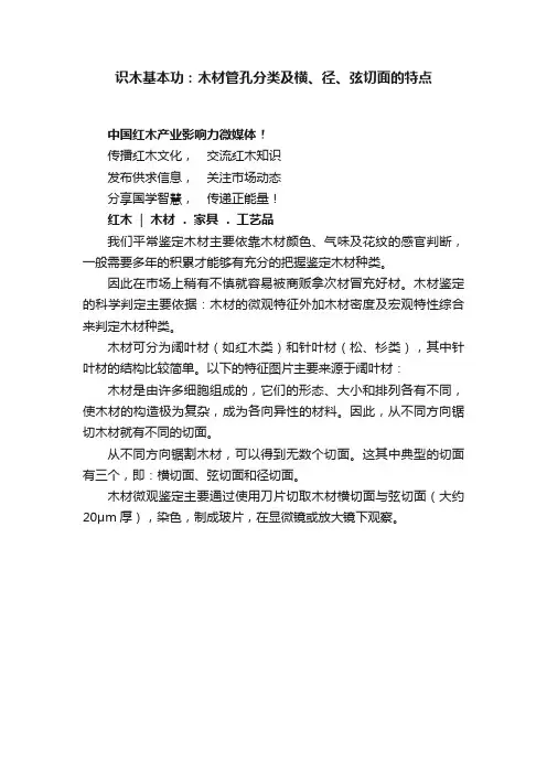 识木基本功：木材管孔分类及横、径、弦切面的特点