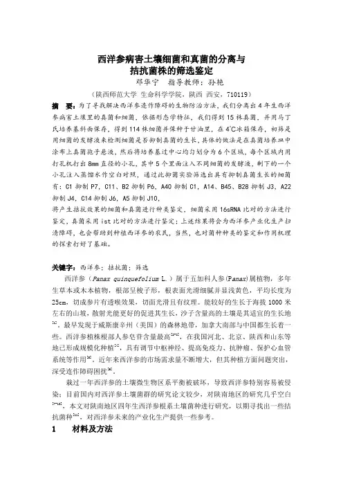 西洋参土壤菌株的分离与拮抗菌株的筛选与鉴定