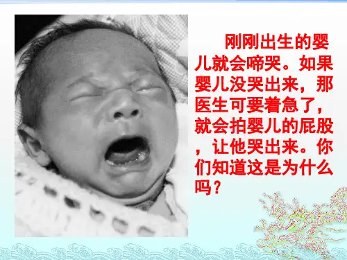 人教版七下生物 3.1呼吸道对空气的处理 课件 (共24张PPT)