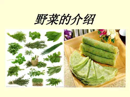 野菜的介绍