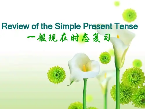 一般现在时确定用