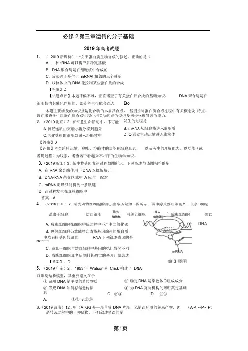 全国各地高考生物试题分类汇总必修2第三章遗传的分子基础6页