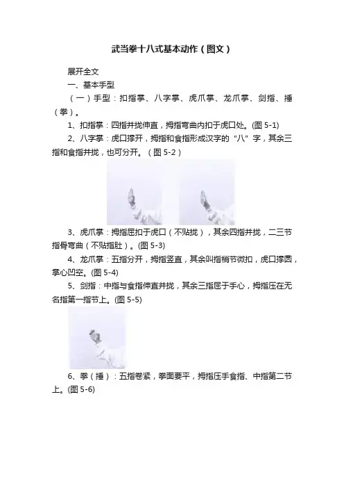 武当拳十八式基本动作（图文）